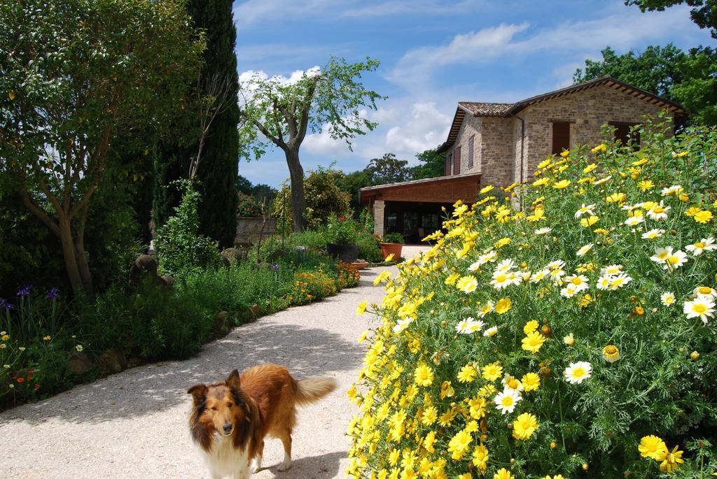 Casale Il Cerqueto San Severino Marche Exterior foto