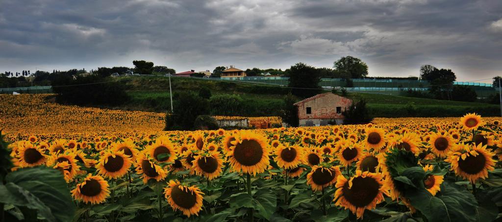 Casale Il Cerqueto San Severino Marche Exterior foto