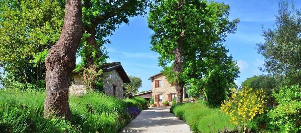 Casale Il Cerqueto San Severino Marche Exterior foto